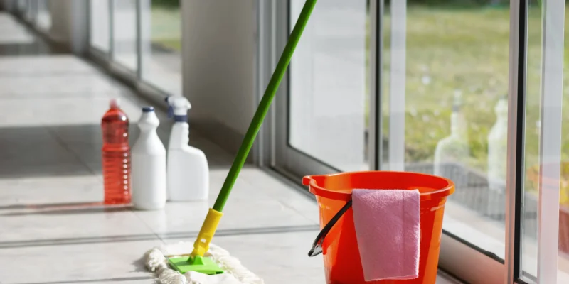 The Gentle Way to Clean and Protect Your Home