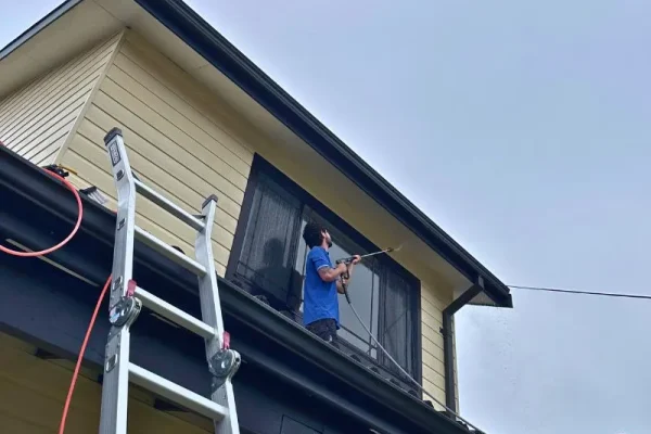 winpress cleaning work (10)